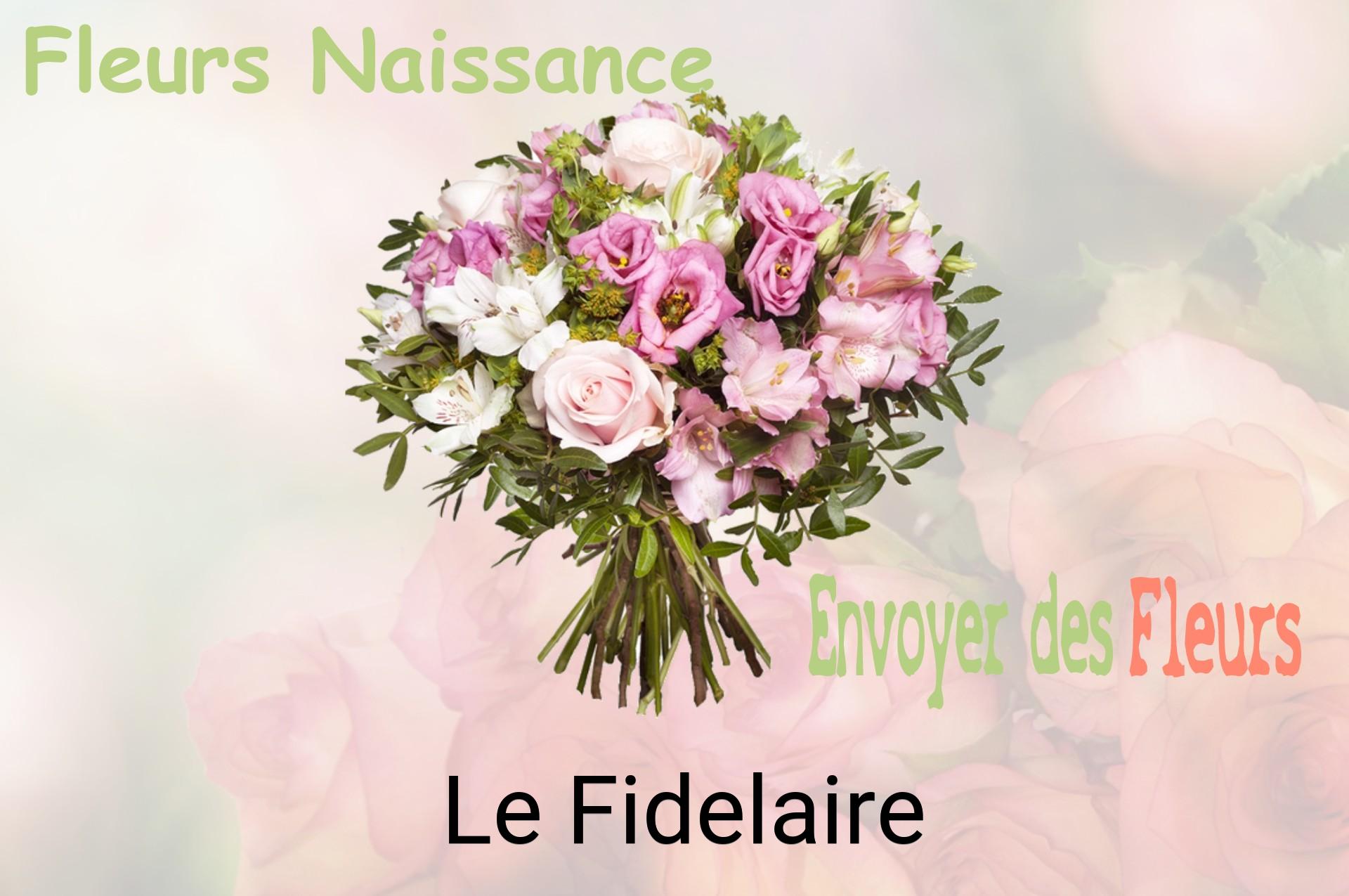 Bouquet de fleurs de naissance livré à Le Fidelaire